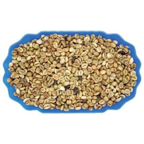 Robusta loại 1 S18 Standard